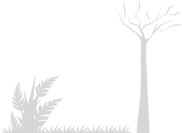 Environmental Consulting in Uzbekistan & in Central Asia | Environmental-Consulting.Uz Image