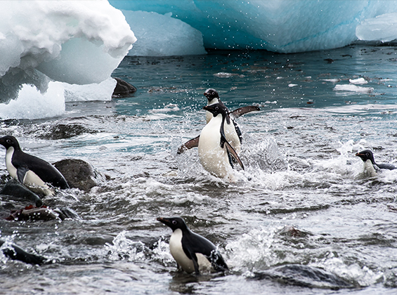 Environmental Consulting in Uzbekistan & in Central Asia | Environmental-Consulting.Uz 