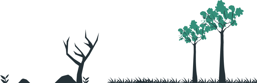 Environmental Consulting in Uzbekistan & in Central Asia | Environmental-Consulting.Uz Image