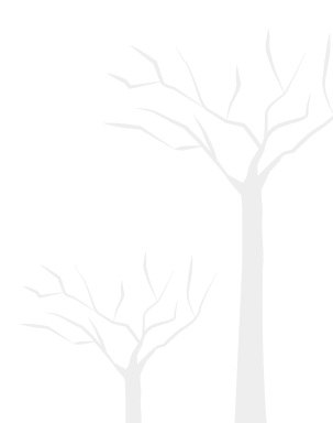 Environmental Consulting in Uzbekistan & in Central Asia | Environmental-Consulting.Uz Image