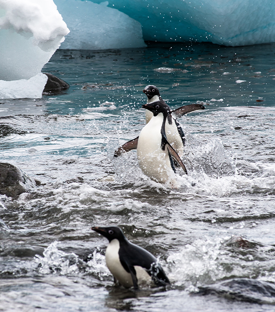 Environmental Consulting in Uzbekistan & in Central Asia | Environmental-Consulting.Uz Image