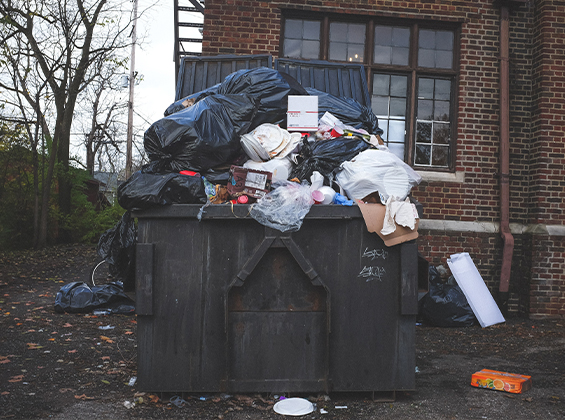 Environmental Consulting in Uzbekistan & in Central Asia | Environmental-Consulting.Uz Image