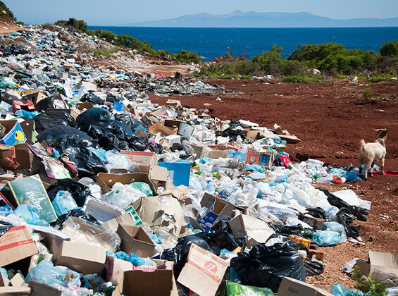 Environmental Consulting in Uzbekistan & in Central Asia | Environmental-Consulting.Uz Image