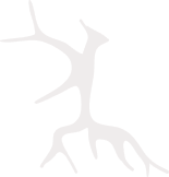 Environmental Consulting in Uzbekistan & in Central Asia | Environmental-Consulting.Uz Image